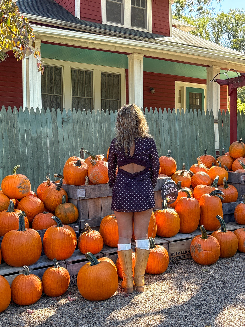 La Calabaza Long Sleeve Polka Dot Mini
