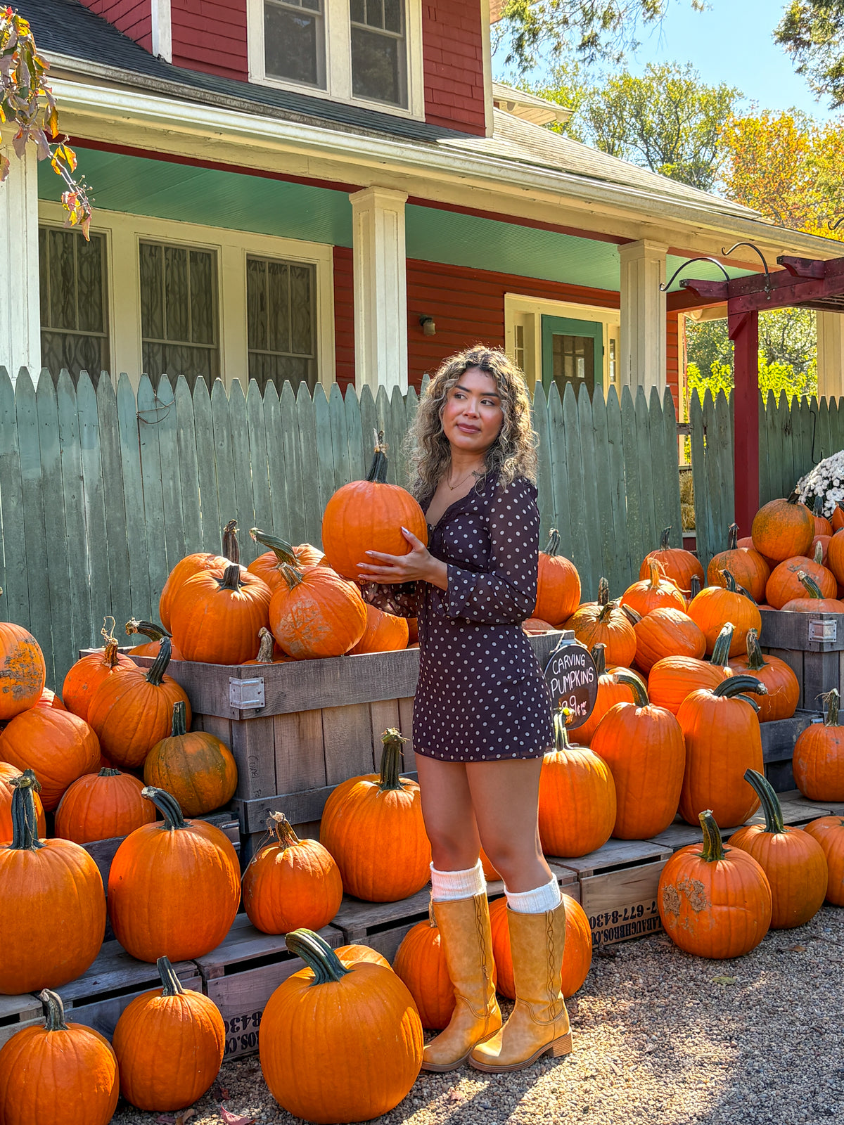 La Calabaza Long Sleeve Polka Dot Mini