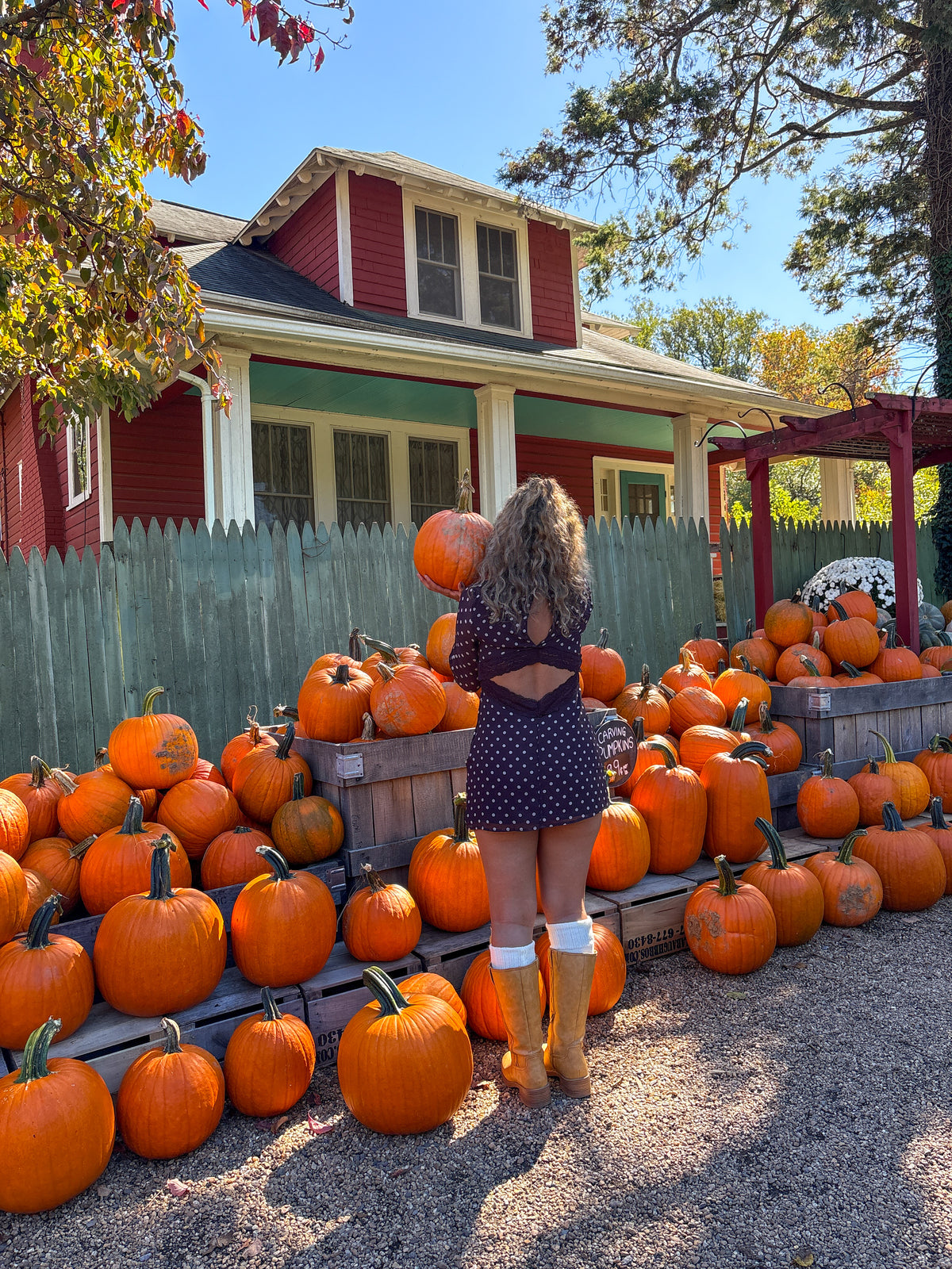 La Calabaza Long Sleeve Polka Dot Mini