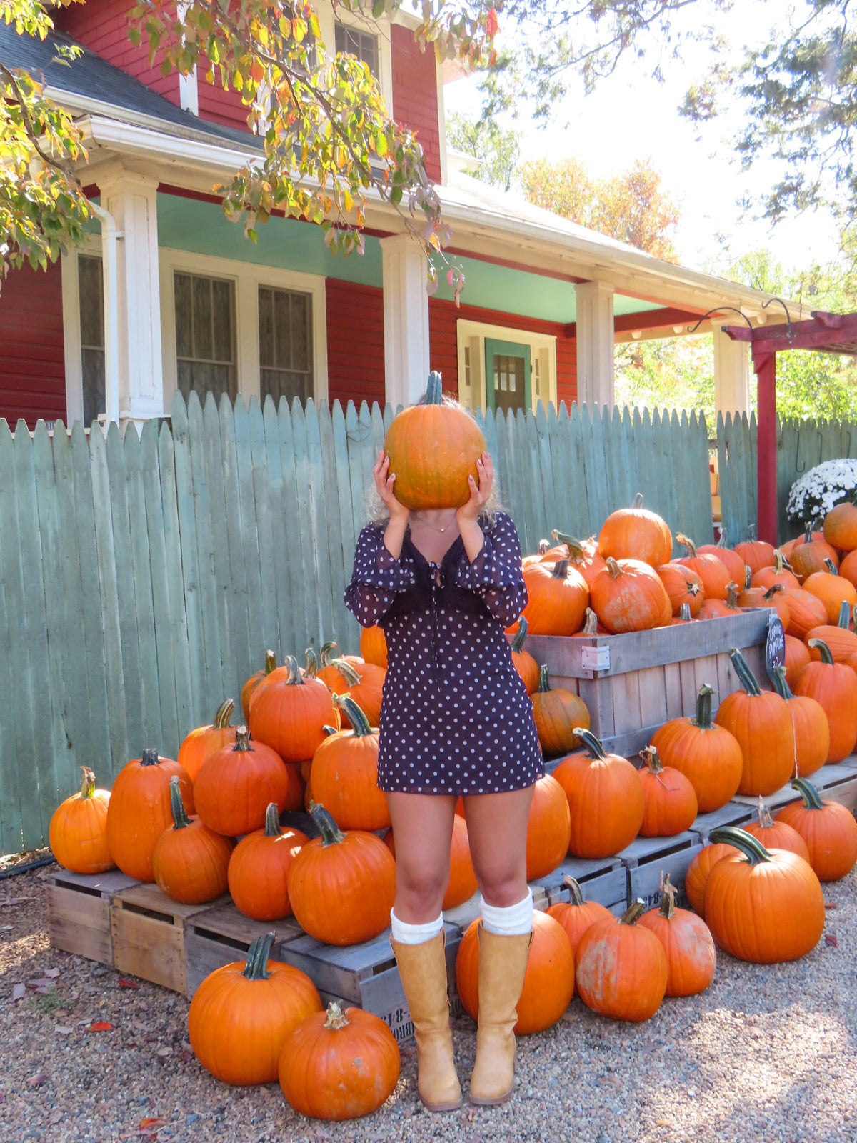 La Calabaza Long Sleeve Polka Dot Mini